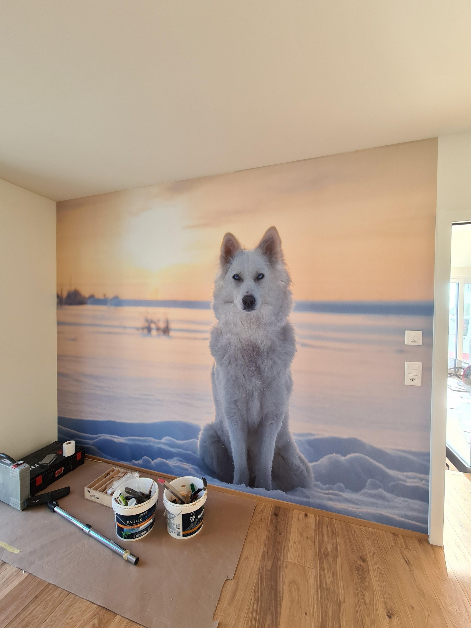 Wandbild mit einem weissen Hund am Meer in einem Zimmer